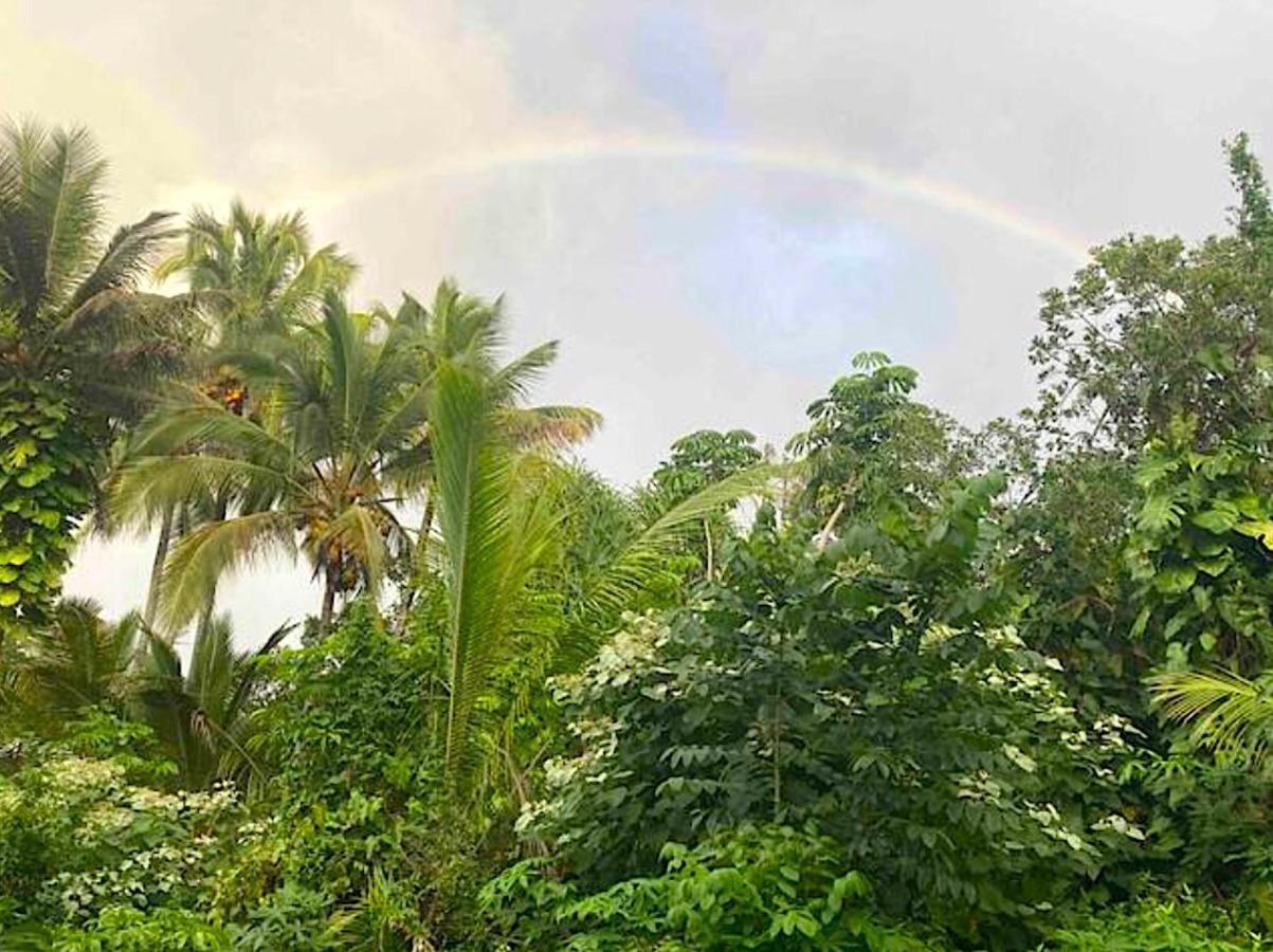 Seaside House And Aloha Bungalow Pahoa Esterno foto