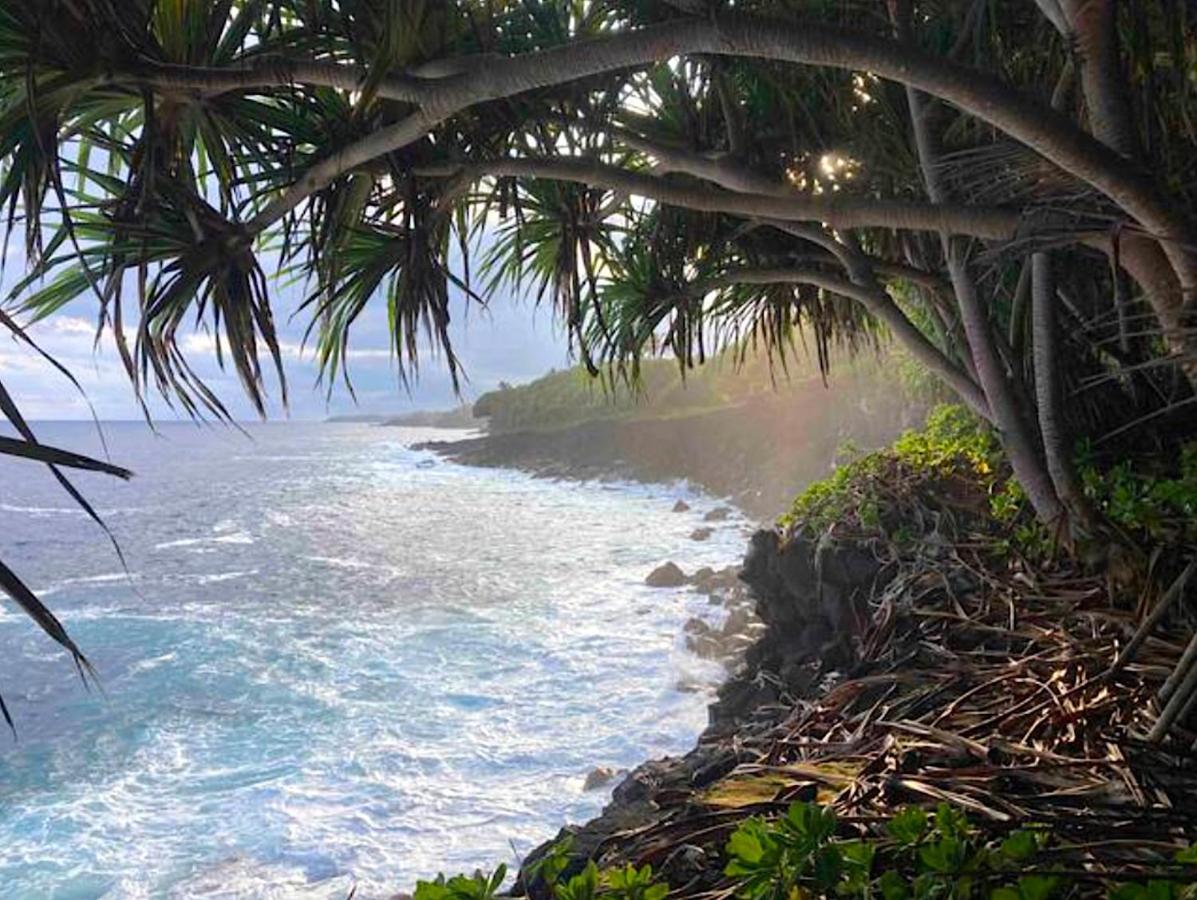 Seaside House And Aloha Bungalow Pahoa Esterno foto