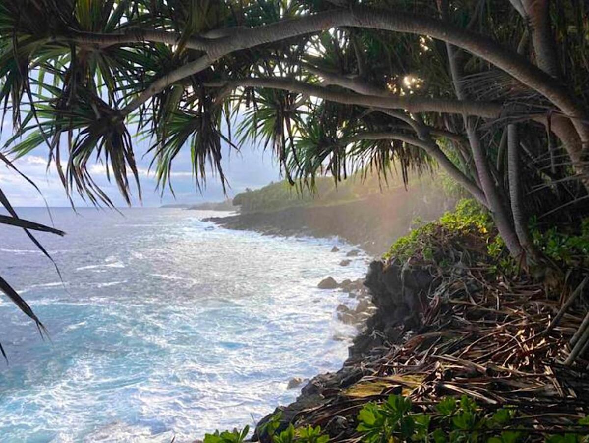 Seaside House And Aloha Bungalow Pahoa Esterno foto